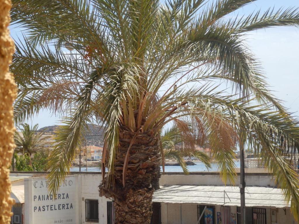 Apartamentos Taravilla P26 El Puerto de Mazarrón Oda fotoğraf